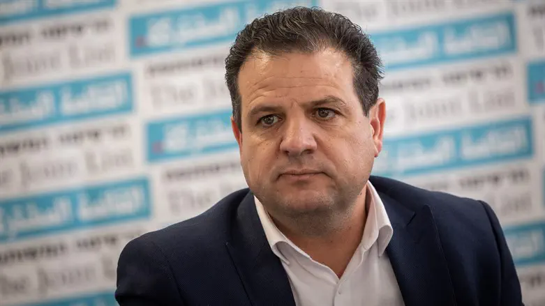כרמל שאמה הכהן