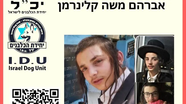 Flyer distributed as part of the search effort