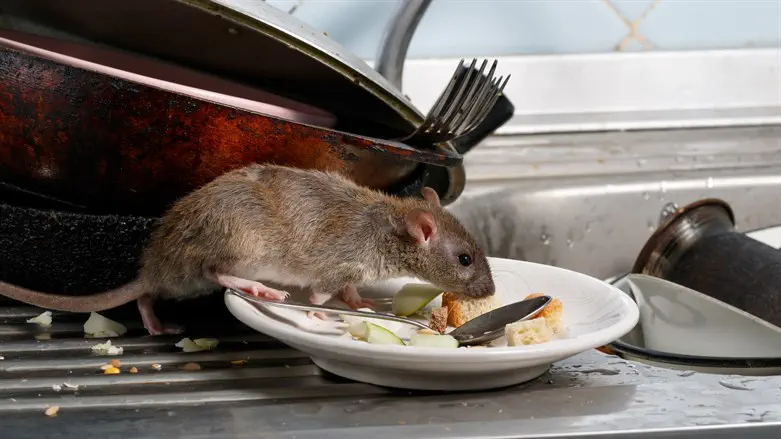 גם הוא ביקר שם?