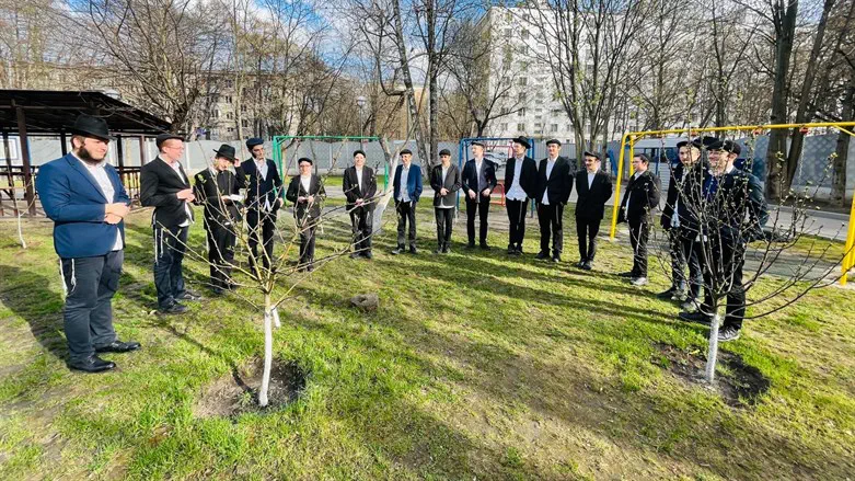 Jews recite the blessing on the trees