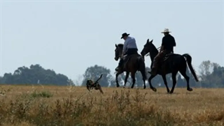 אילוסטרציה.