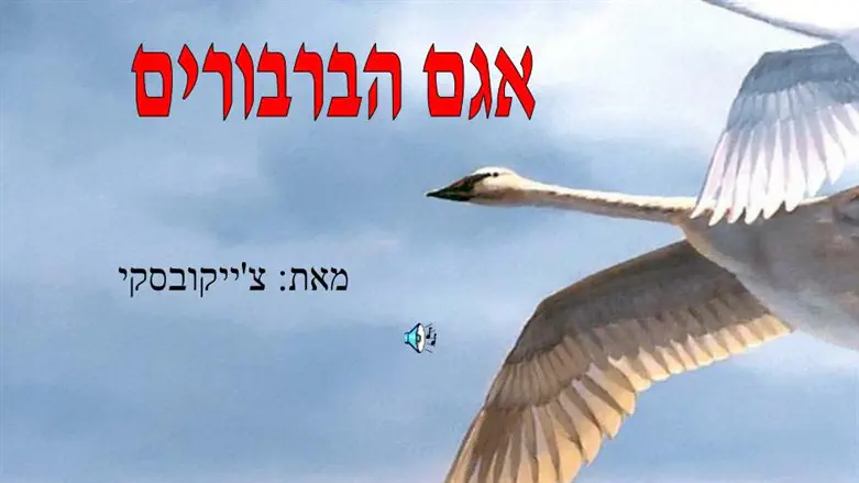אגם הברבורים