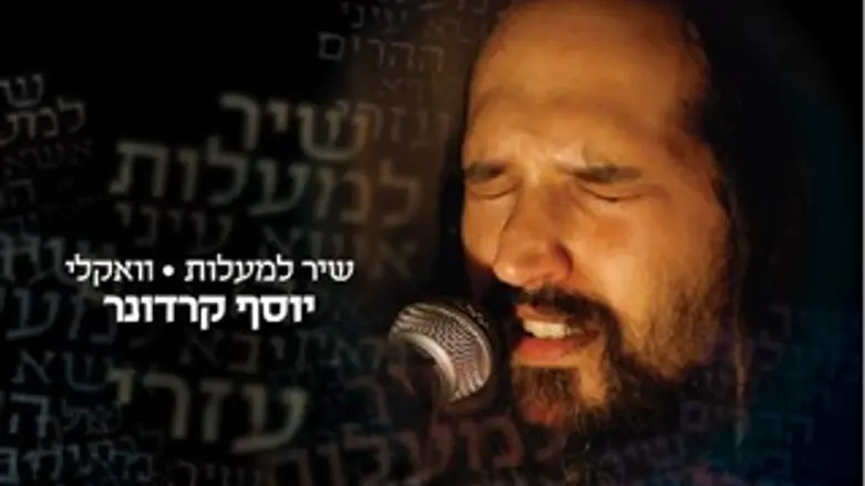 קרדונר בווקאלי