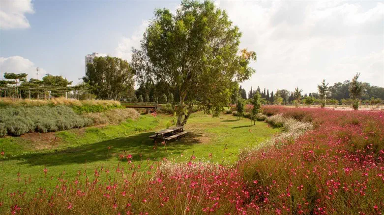 פארק אריאל שרון