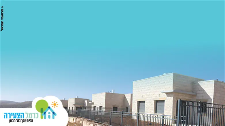 כרמל הצעירה