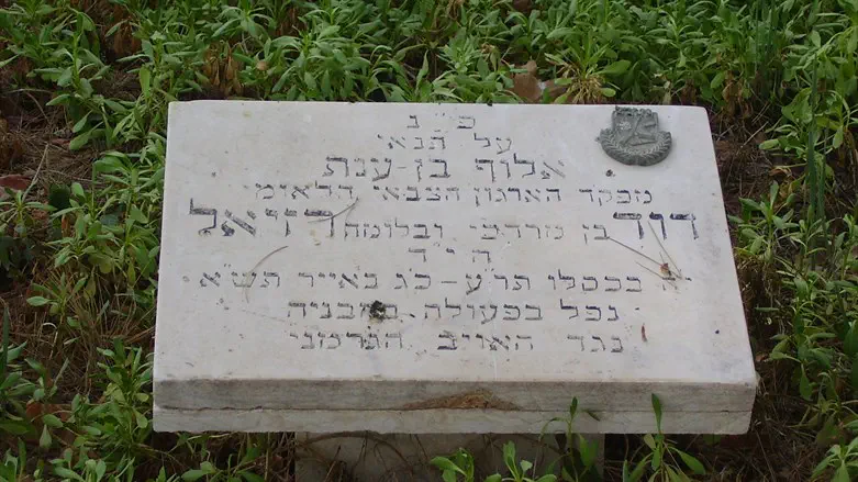 מצבתו של דוד רזיאל ז"ל