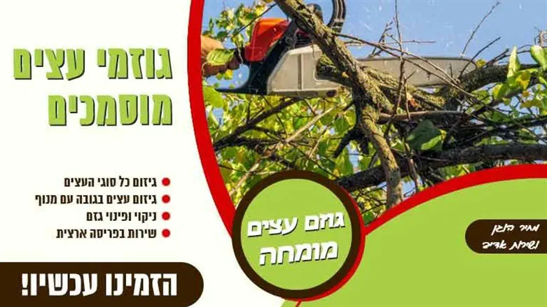 גוזמי עצים מוסמכים