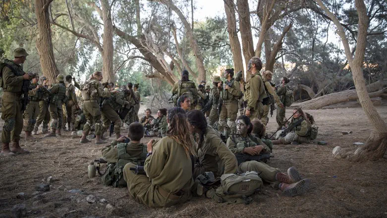 הצבא יתפכח?