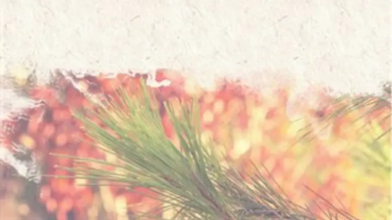 דמעות הראל, עטיפת סינגל הזיכרון