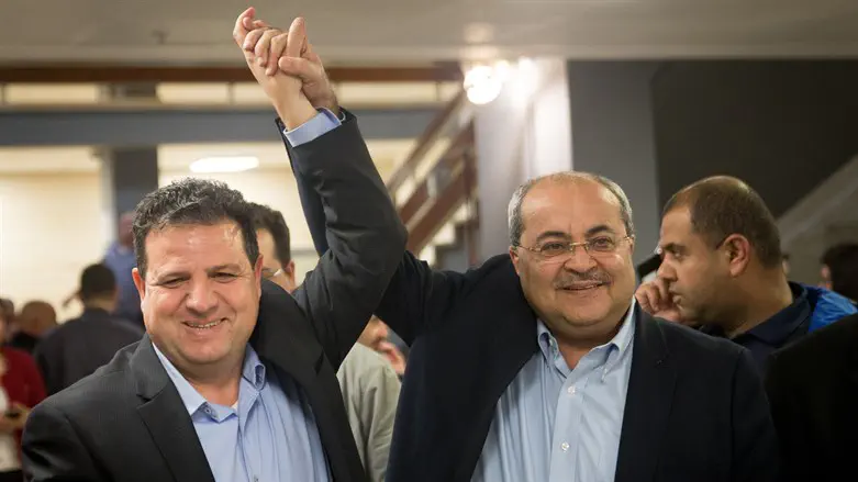 Айман Удэ и Ахмед Тиби