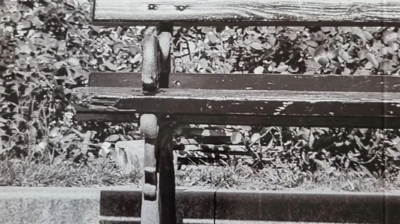 בחירתו של נורמן