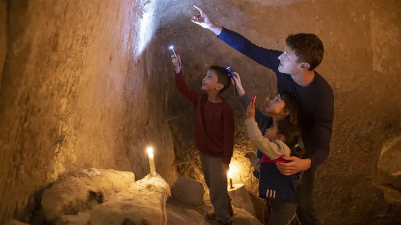 ארכיאולוג ליום אחד