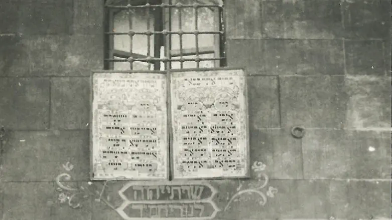 בחזרה לחלב