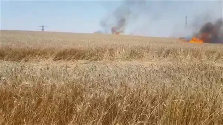 Today: Arab arson at Kibbutz Nahal Oz