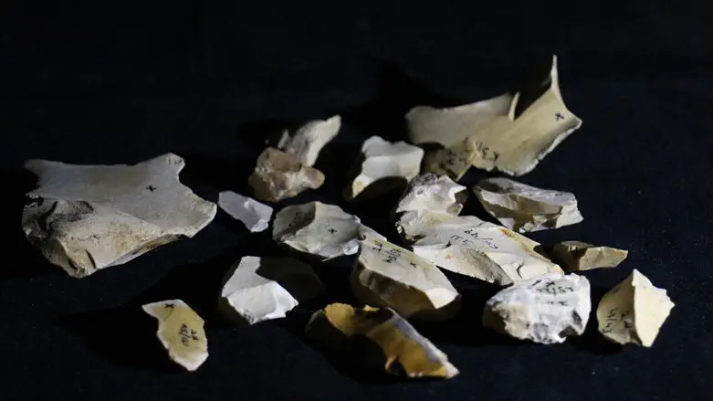 Flint tools found at the Evron Quarry.