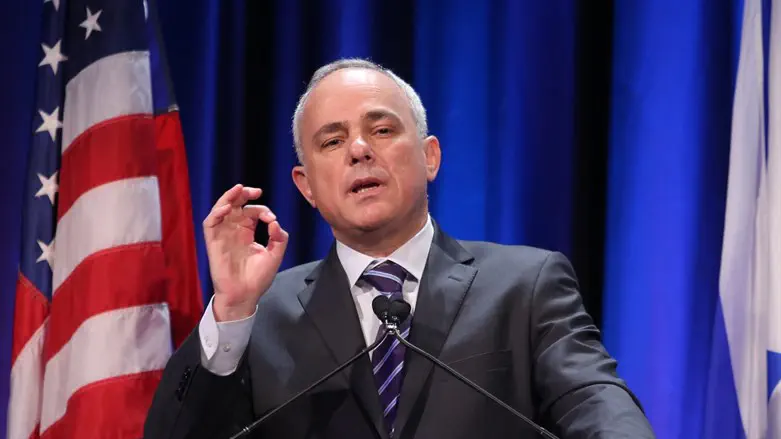 Юваль Штайниц