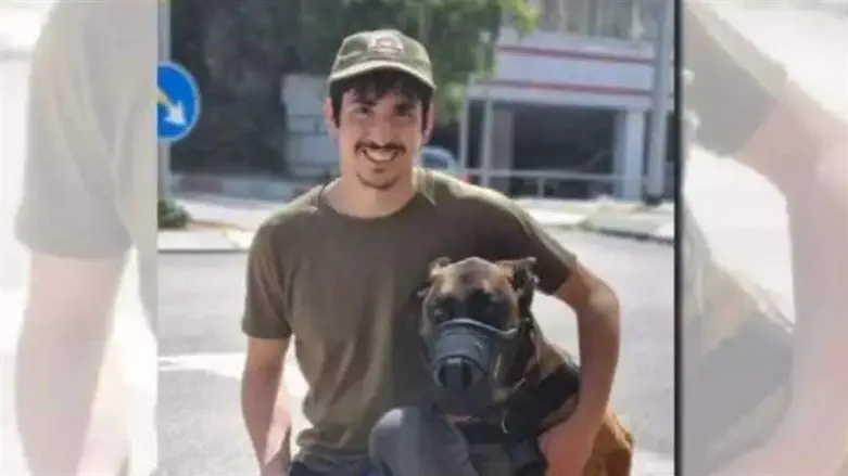 Sisu with his handler