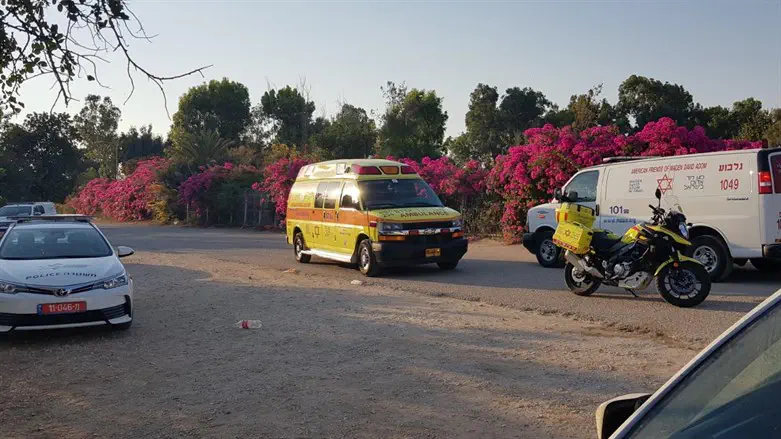 אילוסטרציה