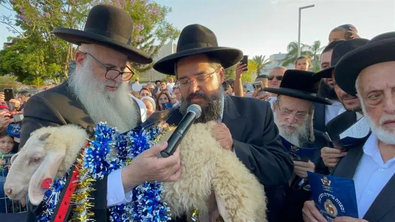 פדיון פטר חמור באשדוד