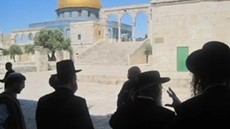 חרדים בהר הבית יום העצמאות תשע"א