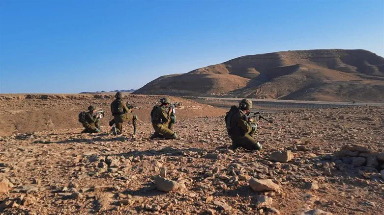 לוחמי צה"ל