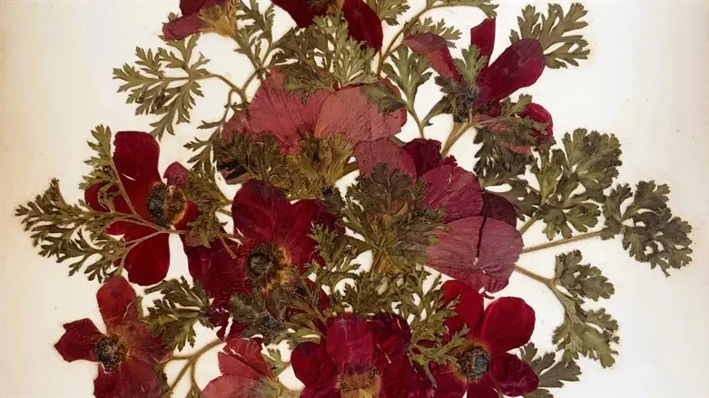 אומנות המזרח