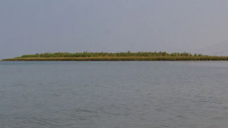 Остров. Иллюстрация