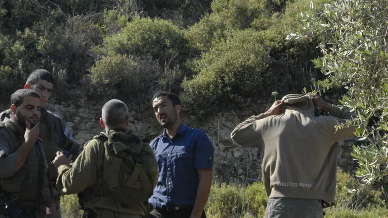חריש פלסטיני בחסות המנהל