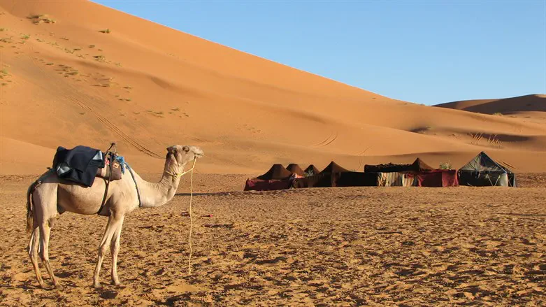 Tents in the desert