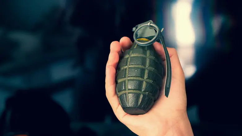 Hand grenade (illustration)