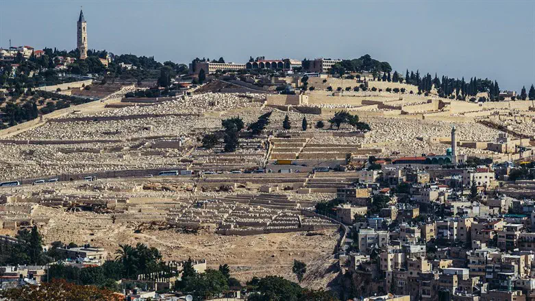 Mount of Olives and Augusta Victoria