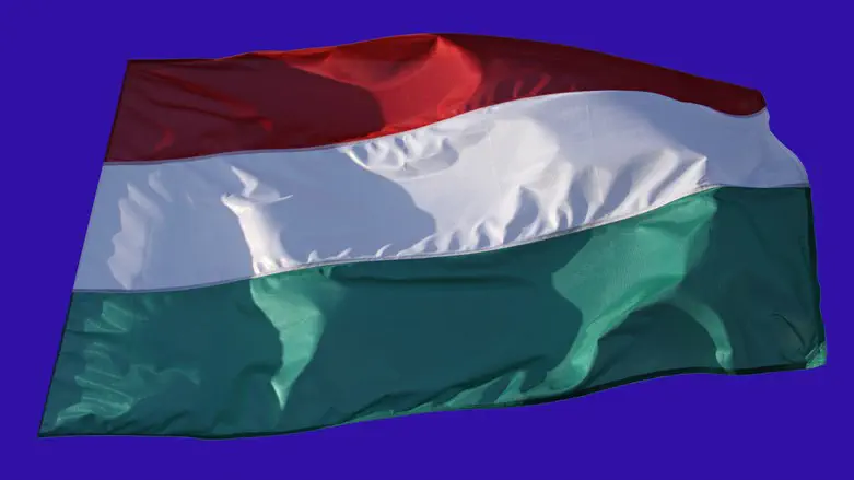 Флаг Венгрии. Иллюстрация