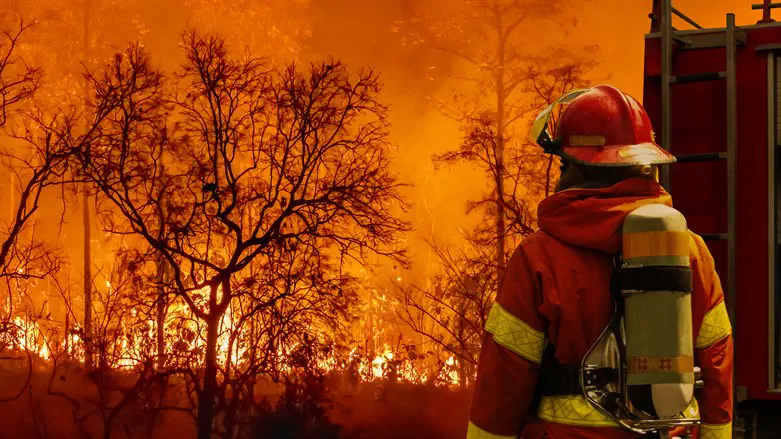 Fire (stock image)