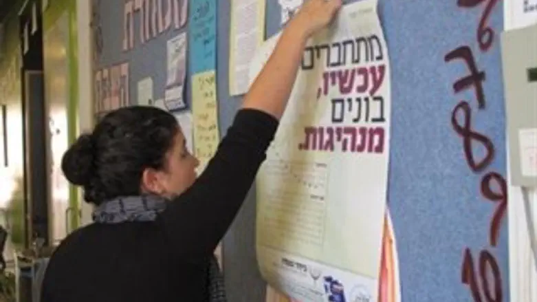 מתחברים עכשיו. צעירים תולים שלטים