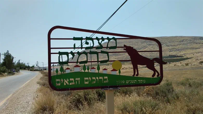 מצפה כרמים