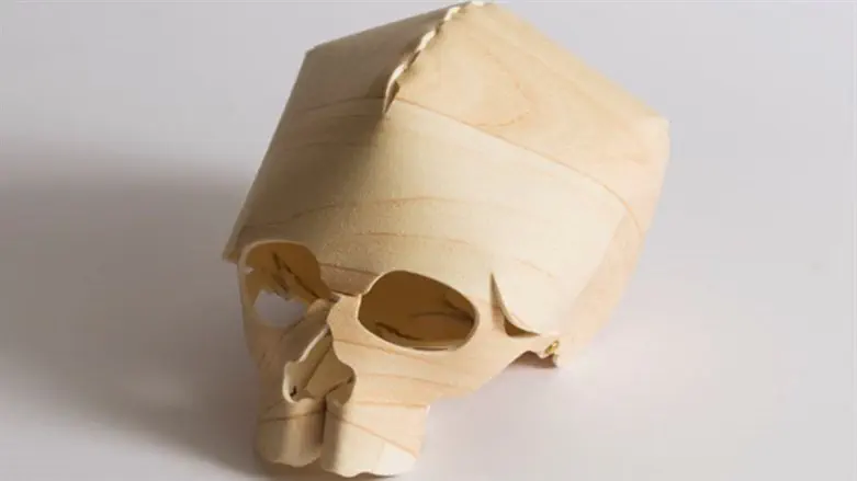 מאיה אטון, גולגולת, 2012, אוסף לוין