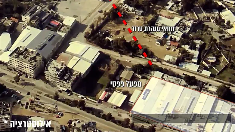 מתוך התיעוד