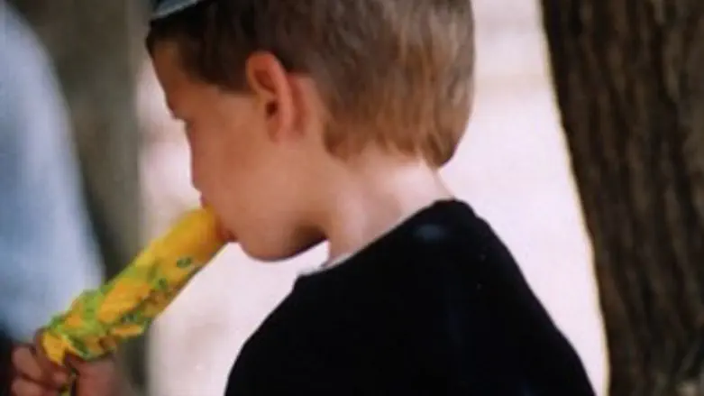 צילום אילוסטרציה.