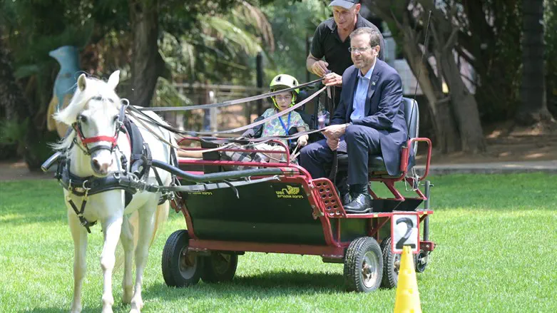 הרצוג בבית לוינשטיין 
