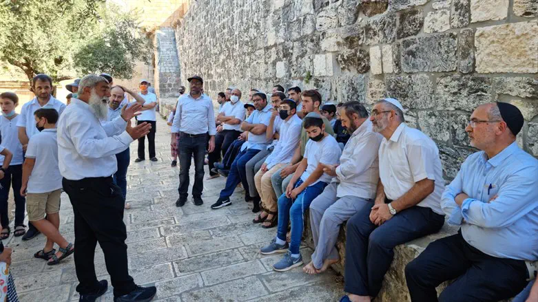 יהודים בהר הבית