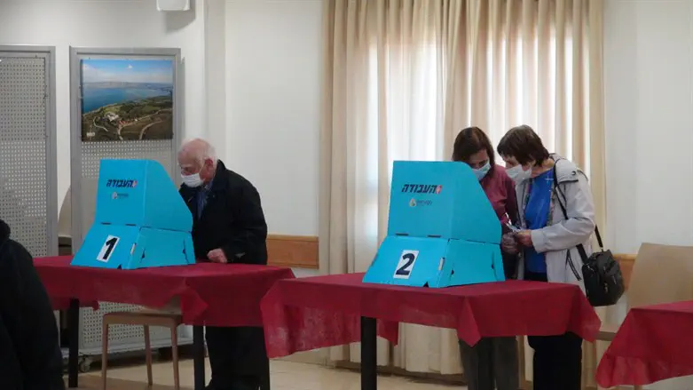 Voting for the Labor Party chair