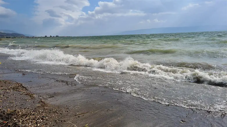 הכנרת סוערת