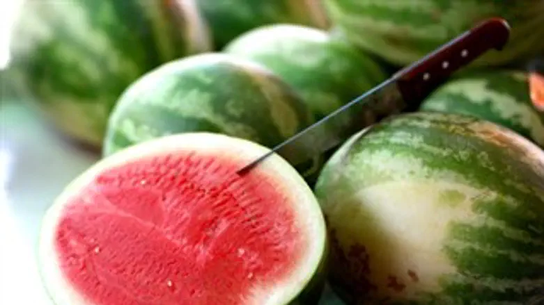 בשורות לקראת הקיץ