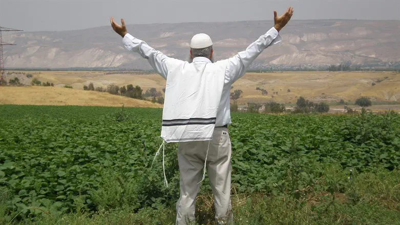 This land is our land