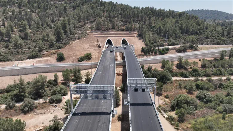 כביש 16 