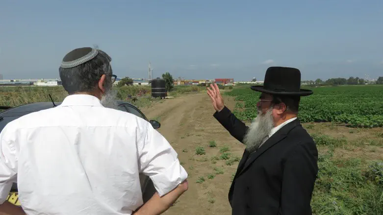 הרב קלמנוביץ