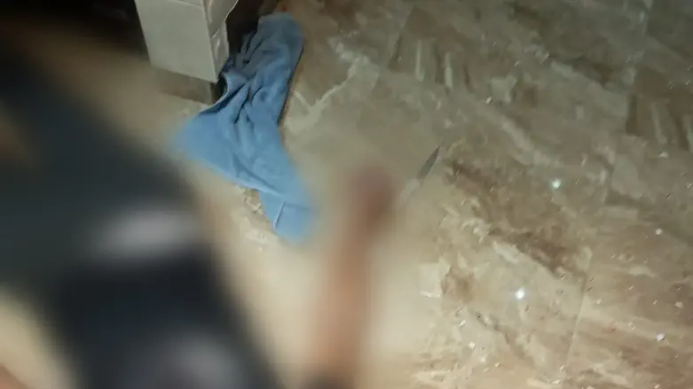 המחבל והסכין