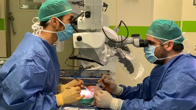 השתלת איברים