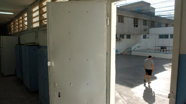 אילוסטרציה