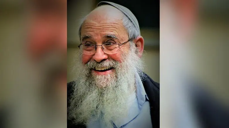 הרב הלל פלסר